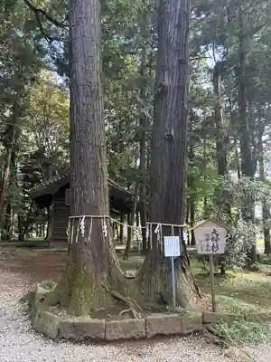 間々田八幡宮(栃木県)