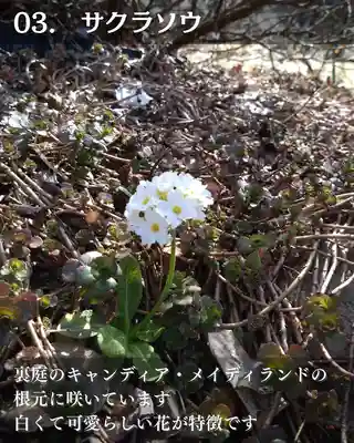 宝光寺(北海道)