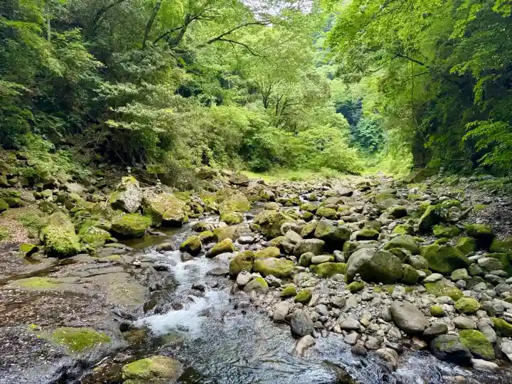 天安河原宮の{uncategorized: "未分類", other: "その他", undefined: "問題あり", building: "その他建物", grave: "お墓", sacred_gate: "鳥居", guardian: "狛犬", statue: "像", buddha: "仏像", history: "歴史", nature: "自然", garden: "庭園", animal: "動物", pagoda: "塔", temizu: "手水舎", mountain_gate: "山門・神門", sanctuary: "本殿・本堂", subordinate: "末社・摂社", art: "芸術", scenery: "景色", jizo: "地蔵", ema: "絵馬", goshuin: "御朱印", omikuji: "おみくじ", items: "授与品その他", amulet: "お守り", goshuincho: "御朱印帳", eats: "食事", festival: "お祭り", votive_dance: "神楽", shichigosan: "七五三参", wedding: "結婚式", experience: "体験その他", initially: "初詣", around: "周辺", anti_infection: "感染症対策"}