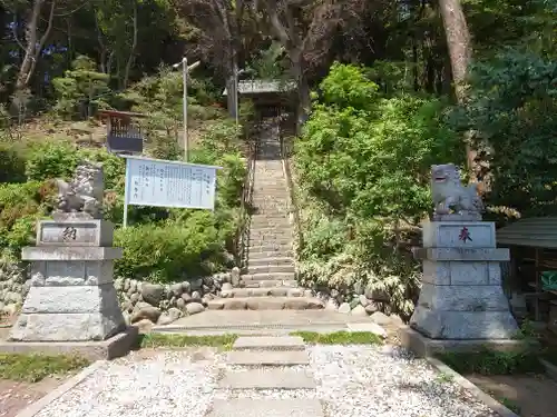白鬚神社(埼玉県)