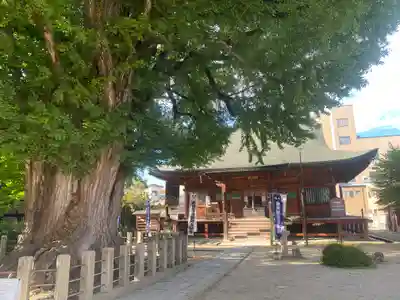 飛騨国分寺(岐阜県)