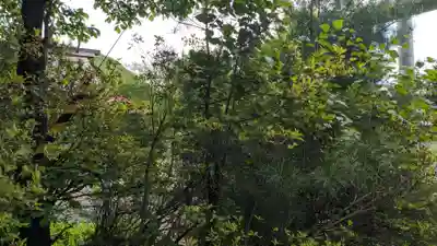 聖徳太子神社（留辺蘂神社）の自然