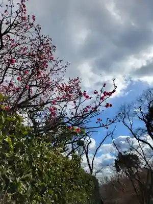 岩津天満宮(愛知県)