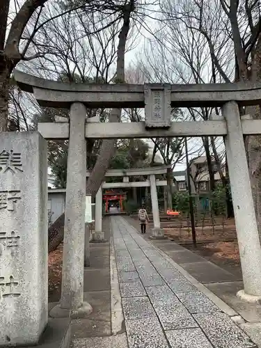 自由が丘熊野神社の鳥居