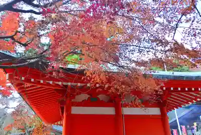 高尾山薬王院(東京都)