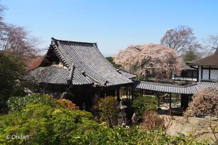 竹林院の本殿・本堂