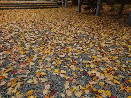 信濃神社の庭園