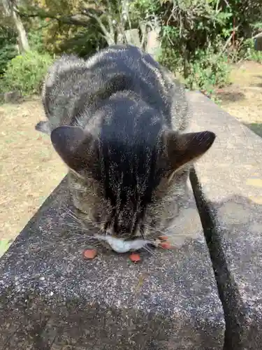 玉野御嶽神社の動物