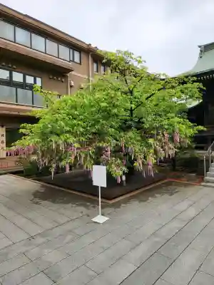 桜神宮の{uncategorized: "未分類", other: "その他", undefined: "問題あり", building: "その他建物", grave: "お墓", sacred_gate: "鳥居", guardian: "狛犬", statue: "像", buddha: "仏像", history: "歴史", nature: "自然", garden: "庭園", animal: "動物", pagoda: "塔", temizu: "手水舎", mountain_gate: "山門・神門", sanctuary: "本殿・本堂", subordinate: "末社・摂社", art: "芸術", scenery: "景色", jizo: "地蔵", ema: "絵馬", goshuin: "御朱印", omikuji: "おみくじ", items: "授与品その他", amulet: "お守り", goshuincho: "御朱印帳", eats: "食事", festival: "お祭り", votive_dance: "神楽", shichigosan: "七五三参", wedding: "結婚式", experience: "体験その他", initially: "初詣", around: "周辺", anti_infection: "感染症対策"}