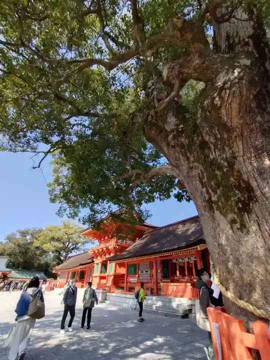 宇佐神宮(大分県)