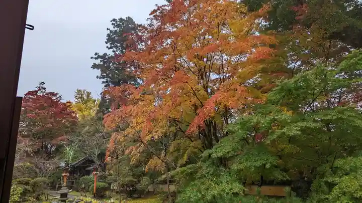 十輪寺(京都府)