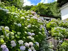 大雲寺(長野県)