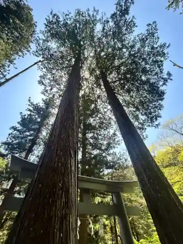 九頭龍神社(東京都)