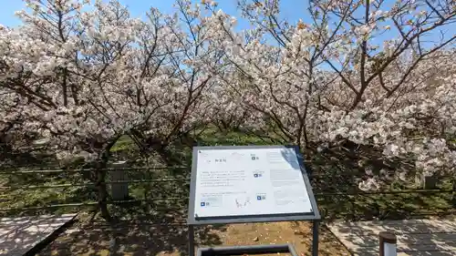 仁和寺(京都府)