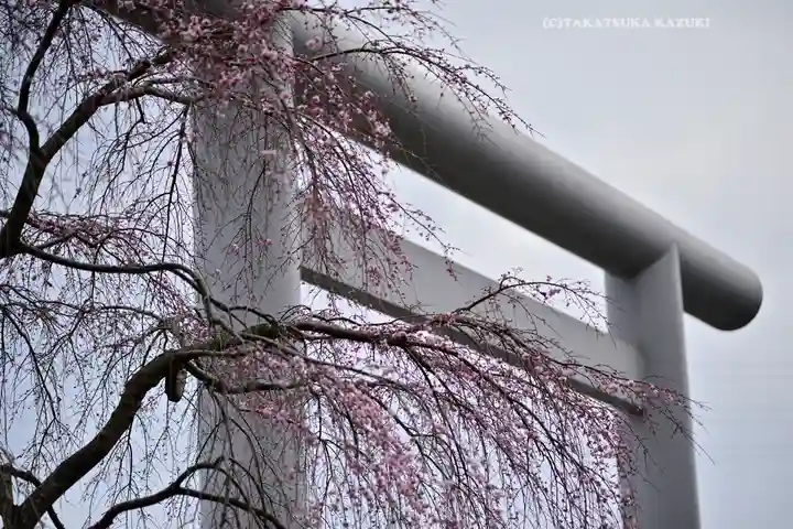 櫻木神社(千葉県)