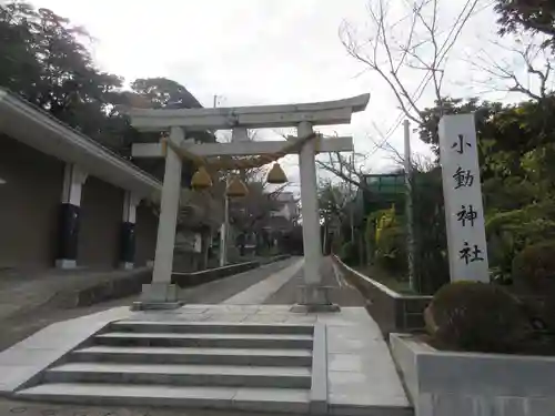 小動神社の鳥居