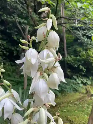 国上寺(新潟県)