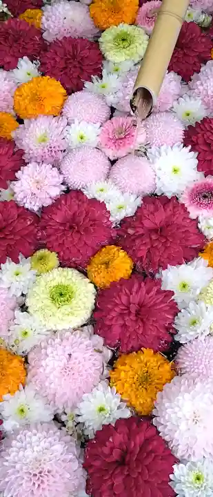 心行寺(東京都)