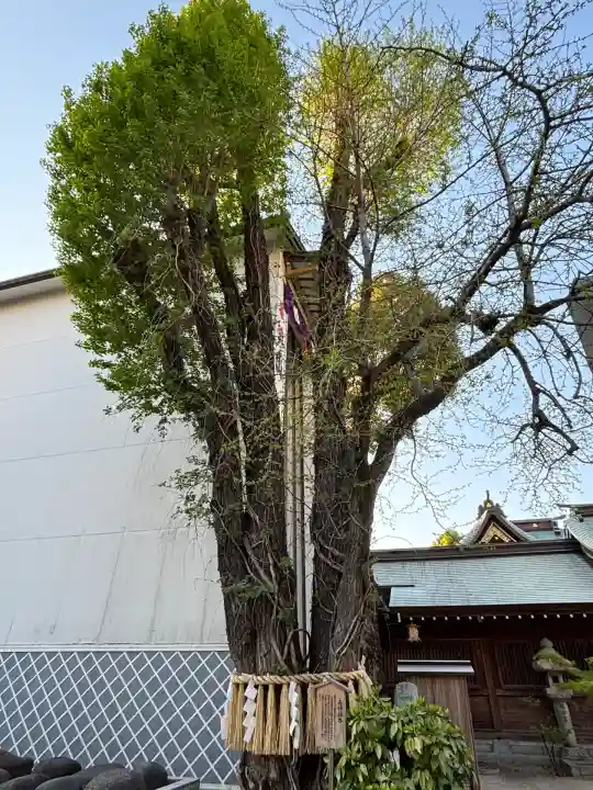 櫛田神社の自然