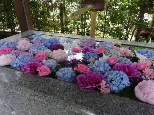 桜神宮の手水