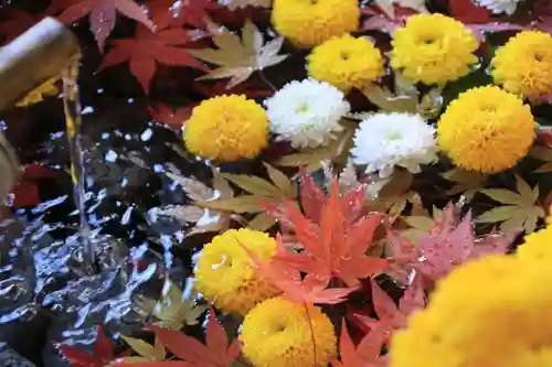 滑川神社 - 仕事と子どもの守り神の手水