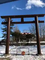 豊似神社の鳥居