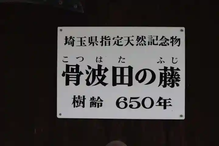 長泉寺のその他建物