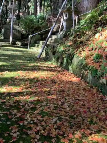 成島八幡神社の自然
