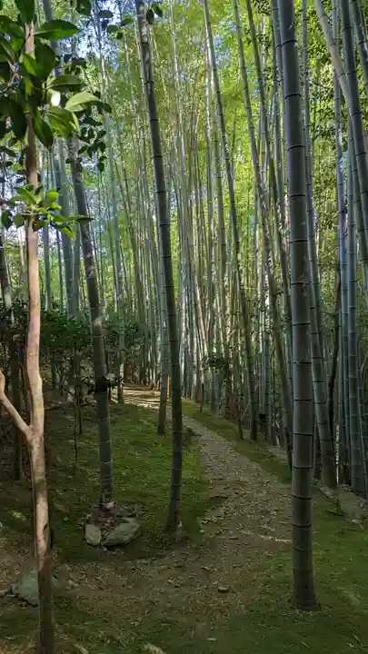 滝口寺(京都府)