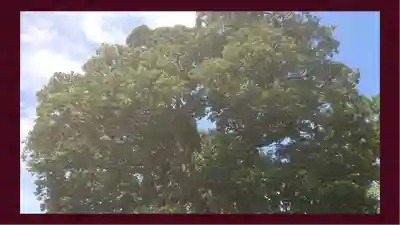 九重神社(埼玉県)