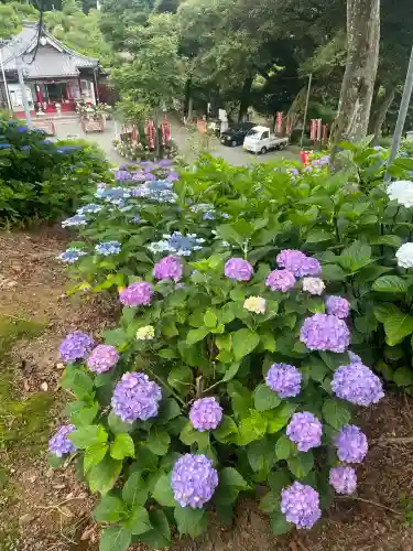 三ヶ根観音（太山寺）(愛知県)