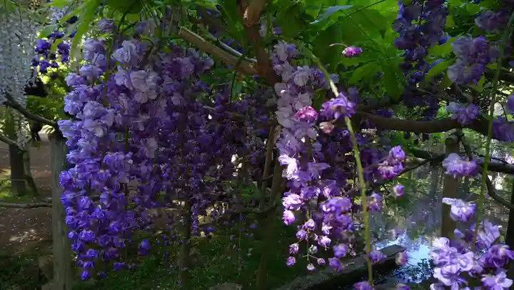 歌泉堂(春日大社神苑萬葉植物園内鎮座)(奈良県)