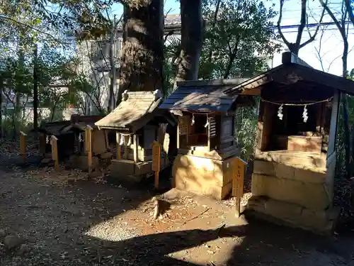 川越氷川神社(埼玉県)