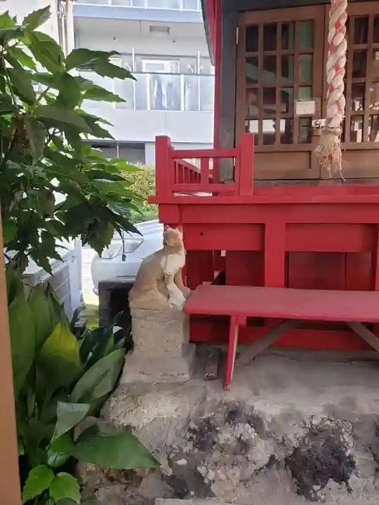 豊川吒枳尼真天(東京都)