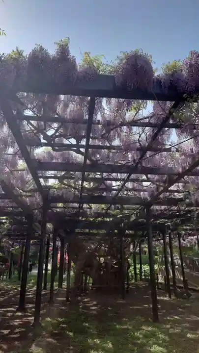 相馬神社(北海道)