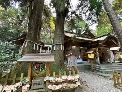 高千穂神社(宮崎県)