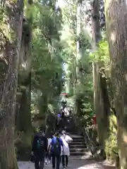 箱根神社の建物その他