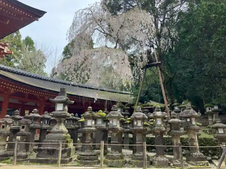 春日大社(奈良県)