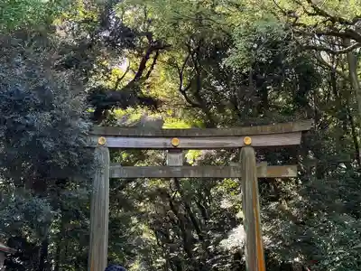 明治神宮(東京都)