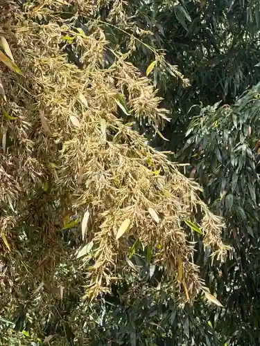 国宝 大法寺(長野県)