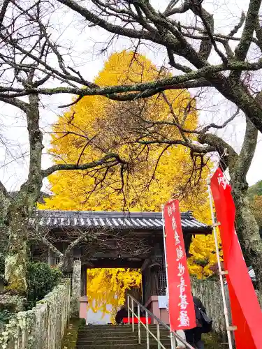 弘誓寺の山門