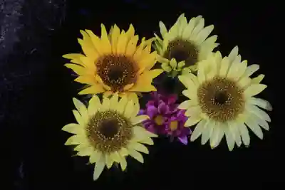 大鏑神社の手水舎