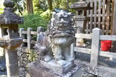 愛宕神社(阿多古神社)の狛犬