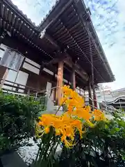 光栄寺(長崎県)