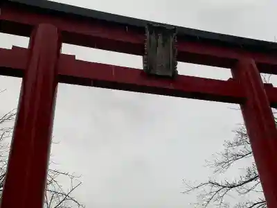 亀戸天神社の鳥居