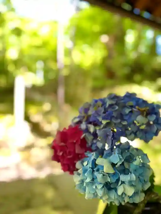 金剛輪寺(滋賀県)