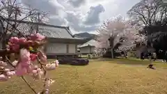 醍醐寺(京都府)