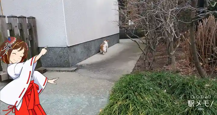 上平井天祖神社(東京都)