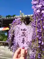 子安地蔵寺の御朱印