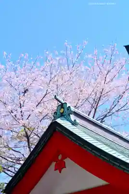森浅間神社(神奈川県)